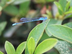 -昆山城市生态森林公园