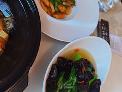 -顺德美的万豪酒店-万豪中餐厅