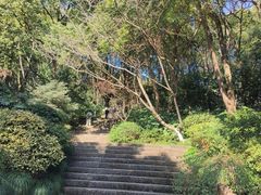 -杭州半山国家森林公园