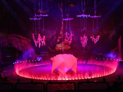 -珠海横琴长隆《卡卡虎奇遇记》