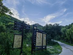 -北京西山国家森林公园