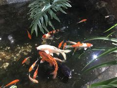 -聚缘堂·海鲜私房菜(松岭路店)