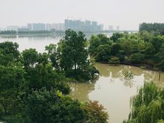 -南京眼步行桥
