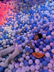 -幻贝家儿童乐园(苏州中心店)