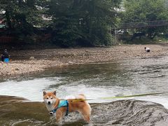 -水墨汀溪风景区