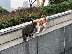 门面-UNI UNI(环亚凯瑟琳店)