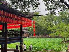 -房湖公园