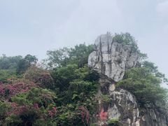 -星湖旅游景区七星岩