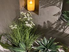 -施奈儿.洗头頭療.按摩SPA.采耳(上梅林店)