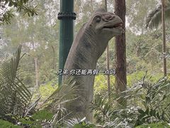 -广州长隆野生动物世界