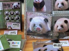 -熊猫邮局(少城店)