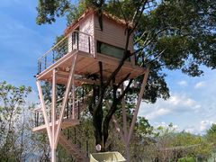 -福建鲤鱼洲酒店