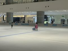 -TheRink大零溜冰场(IFS国金中心店)