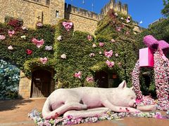 -青岛方特梦幻王国