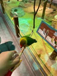 点击看大图 -酷嗒动物文化乐园(cutezoo西溪乐天城店)