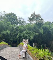 -金夫人婚纱摄影