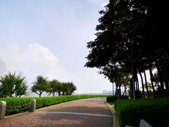-深圳湾公园(南山区)