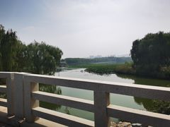 -大兴滨河森林公园