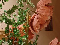 -觅唐MITONG(鸟巢店)