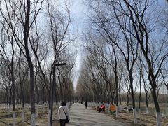 -东郊湿地公园