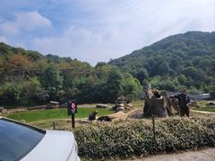 -杭州野生动物世界