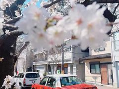-京都御所