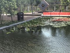 -红旗渠纪念馆