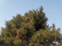 -中国建设银行哈尔滨培训中心