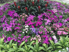 iphone_upload_pic-龙环葡韵住宅式博物馆