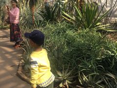 -北京植物园-展览温室
