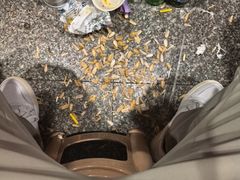 -陈氏肥蛤(小纬六路总店)
