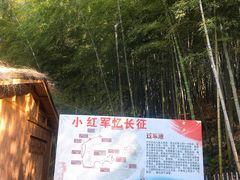 -宁波浙东大竹海景区