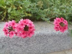 -徐悲鸿纪念馆