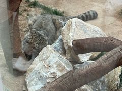 -青藏高原野生动物园