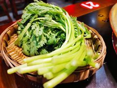 -欧阳小姐在成都(爱琴海店)