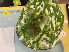 -王守财小山園