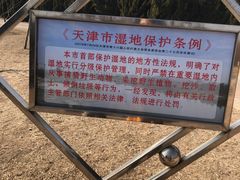 -大港湿地公园