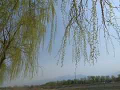 -洨河生态公园