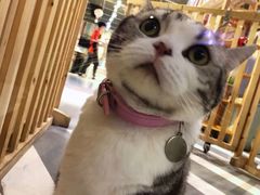 -小时光咖啡馆(开森度假森林店)