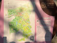 -光明小镇欢乐田园