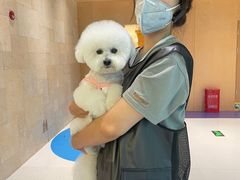 -帕帕拉兹宠物(亚洲旗舰店)