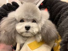 -美联众合动物医院(唯恩分院)