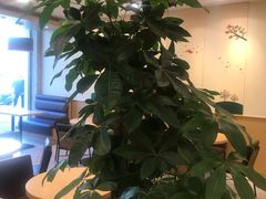 -德克士(宽甸店)