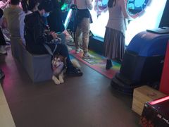 -爱玩嘉年华(江北一店)