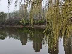 -前关湿地公园