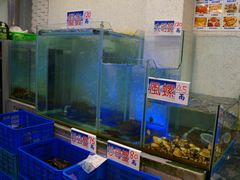 水产区-旅南活海鲜-屏东(墾丁海鮮，海鮮餐廳，墾丁團體合菜，平價熱炒，墾丁熱炒店，活海鮮推薦，在地海鮮餐廳)