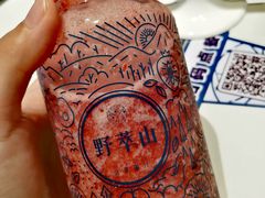 -野萃山·潮汕厚果汁(十亩地店)