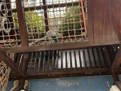 -中国福利会少年宫