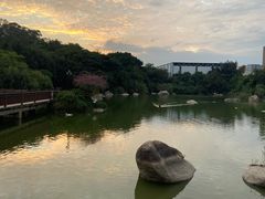 -厦门悦华酒店·绿庭主题自助餐厅
