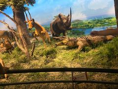 -国家自然博物馆